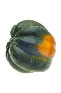 Calabaza Bellota