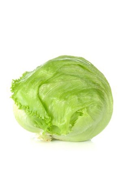 Lechuga Iceberg