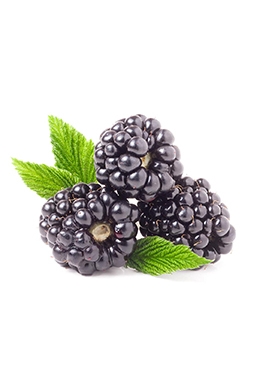 Moras